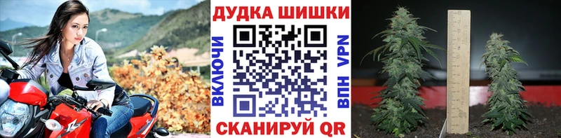Бошки Шишки SATIVA & INDICA  Невель 